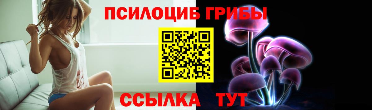 Псилоцибиновые грибы прущие грибы  Вход с VPN  Рославль 